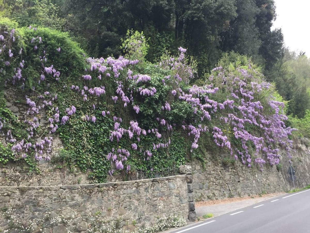 バーニ・ディ・ルッカLa Piccola Oasi Toscanaアパートメント エクステリア 写真